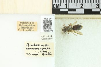 Media type: image;   Entomology 769278 Aspect: Labels